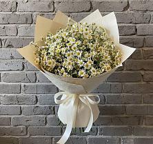 Букет цветов из:  Ромашки #REPLACE_PRED# Нижней Александровке
