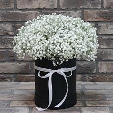 Цветочная композиция из Гипсофила в шляпной коробке в Нижней Александровке