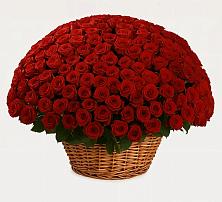 Премиум букет из: Розы в Нижней Александровке